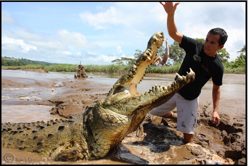 tarcoles_bridge_costa_rica_crocodiles